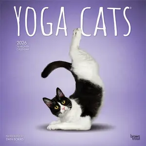 Yoga Cats OFFICIAL | 2026 12 x 24 Inch (Hanging) Monthly Square Wall Calendar | Plastic-Free | BrownTrout | Animals Humor Pets