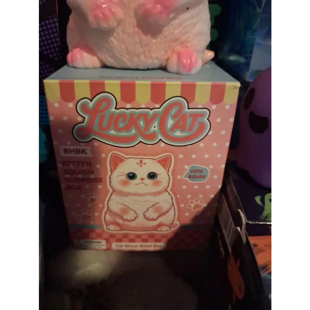 squishy cat