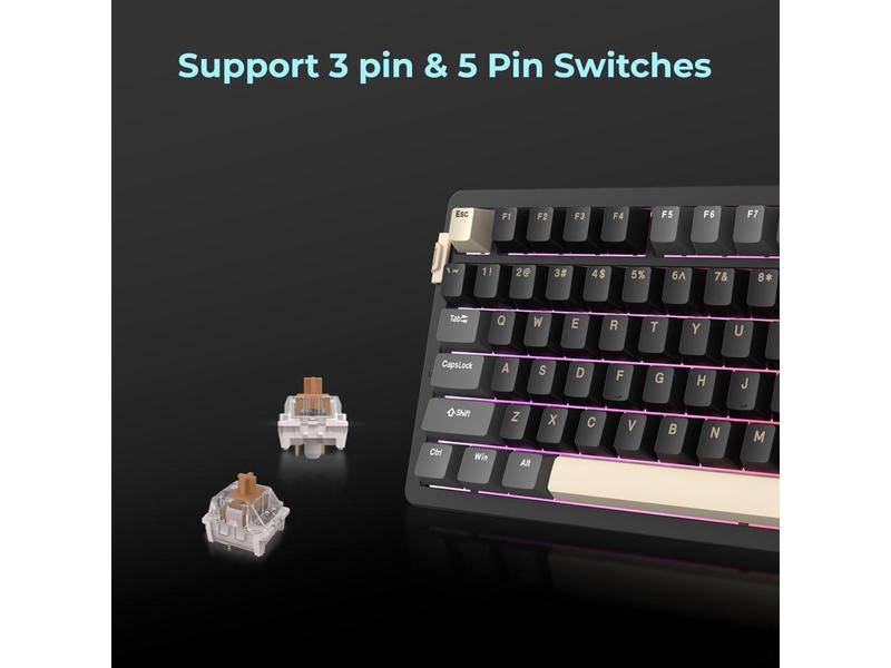 Rosewill NEON S75 Tri-Mode Wireless Gaming Keyboard - Gasket Mount for Superior Typing, 75% Layout with Knob, Hot-Swap, RGB, PBT Keycaps & Brown Switches