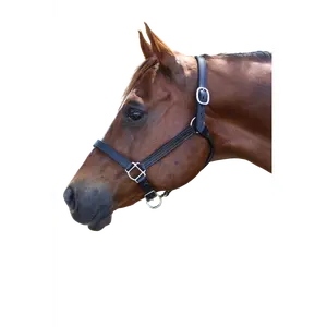 TS Sale/Show Leather Halter Adjustable Chin