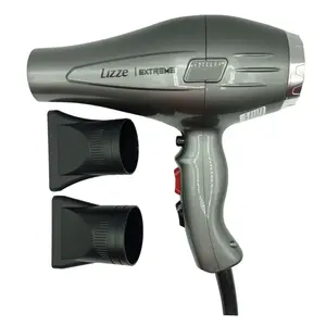 Lizze Extreme 2400W Professional Hair Dryer | Salon Blow Dryer w/ 2 Nozzles