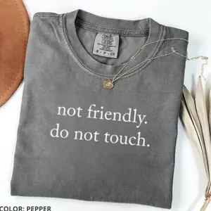 Comfort Colors Not Friendly Do Not Touch T-Shirt, Sarcastic Quote Tee, Funny Adult Humor Graphic T-shirt, Trendy Quote Gift Idea