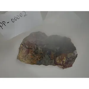 Haystack Butte Jellybean Jasper Slab 4x2.5" 5/16" Thick Oregon PP-00002