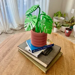 Monstera plant with magnetic coasters 3d printed