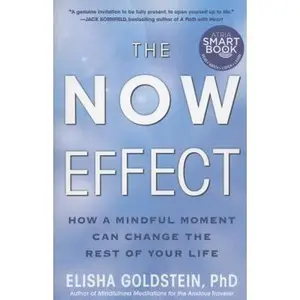 USED-The Now Effect: How a Mindful Moment Can Change the Rest of Your Life by Goldstein, Elisha (Paperback)
