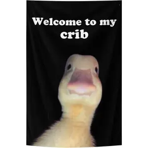 Welcome to My Crib Funny Tapestry 40in*60in Self-Improvement Tapestry Aesthetic Cute Room Decor Anime Tapestry Birthday Decorations Wall Hanging Gifts for Teen Girl Bedroom Living Room Peach skin suede