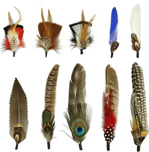 10Pcs Hat Feathers, Natural Feathers Peacock Feathers for Hats, Colorful Feathers Pin Cowboy Hat Feather for Western Cowboy Hats Christmas Party Hats, Feathers Accessories DIY Decorations (10 Style) CANIPHA