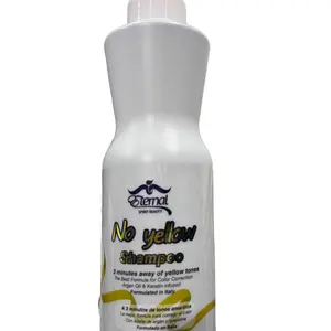 Eternal Spirit Beauty No Yellow Shampoo for Grey and Silver Hair - Brass Toning Purple Shampoo Infused with Purple Pigment for Women (16.9fl oz)