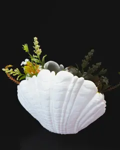 Clam Shell Planter. Great for Succulents & Herbs.