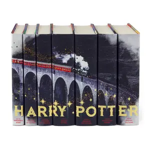 Harry Potter Train Book Set
