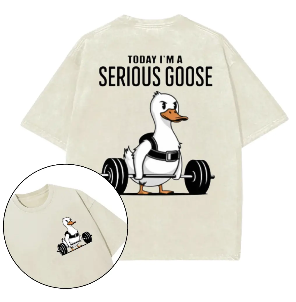 Vintage Today I'm a Serious Goose Gym 2 Site Shirt, Gym Shirt, Graphic Gym Shirt, Vintage Washed Tee Conton, Gym Shirt Women, For Men, Ful Size