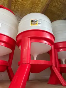 8 Gallon Dome Waterer