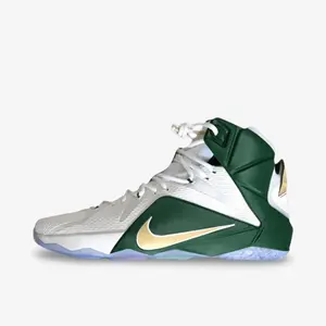 *SAMPLE* Nike LeBron 12 PE 'SVSM St. Vincent St. Mary Home' (2015)