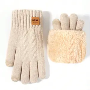 Women's Winter Warm Knitted Gloves, Dual Layer Design, Touchscreen Fingers, Party, Driving, Running, Phone Games, Daily Activities