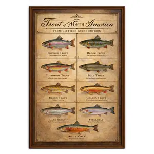 Trout of North America Field Guide, Vintage Wall Art for Fishermen & Cabin Decor, Perfect Gift for Outdoor Lovers, Rustic Fishing Room & Lake House Display