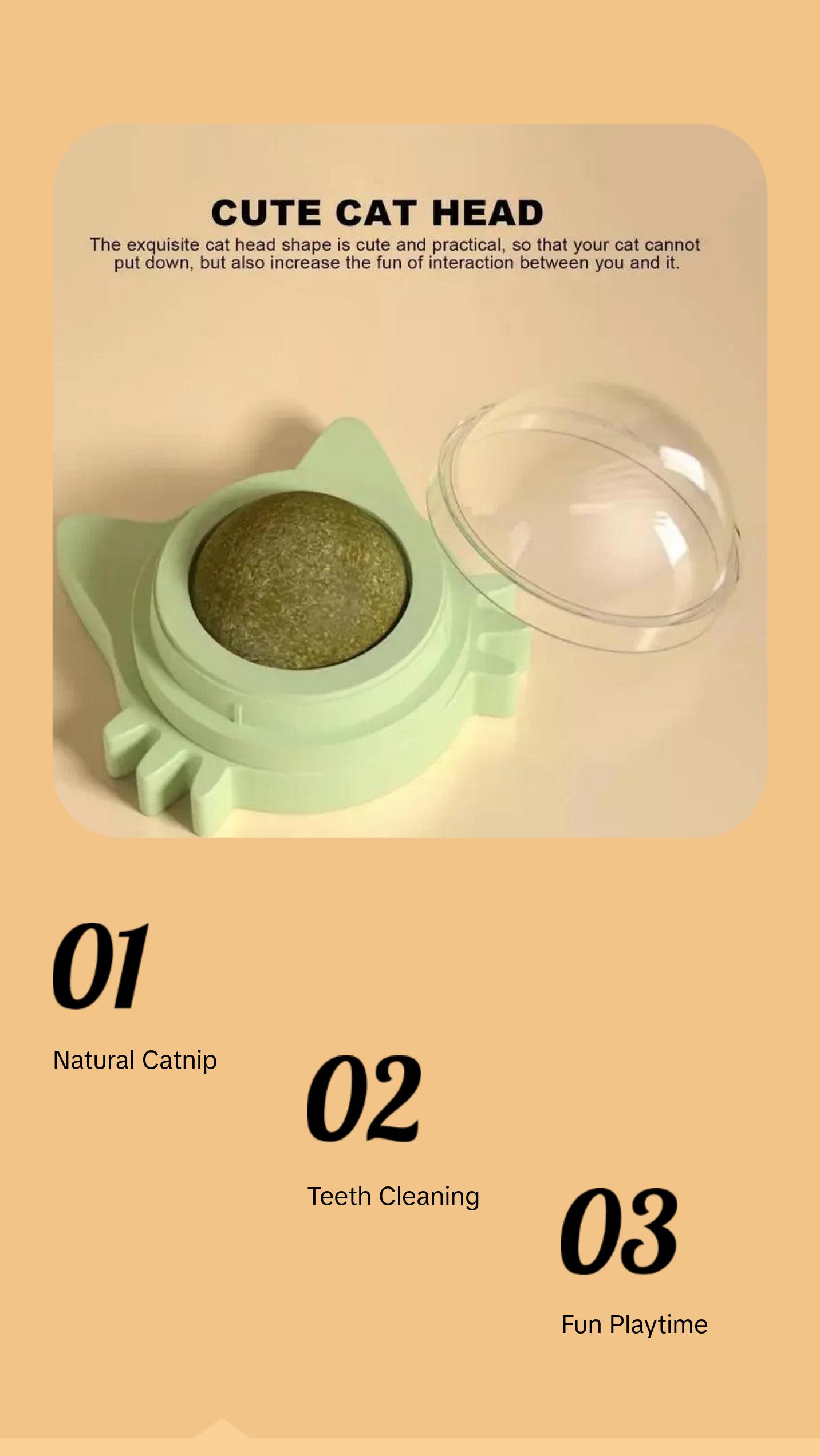 Catnip Balls Funny Lickable Cat Snack