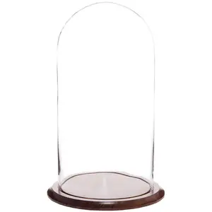 Plymor 9.75" x 20" Glass Display Dome Cloche