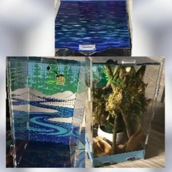 Custom Reptile Enclosure Background | Personalized Vinyl Terrarium & Vivarium Backdrop