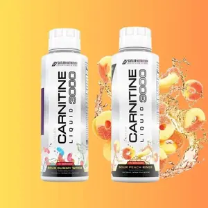 Carnitine Liquid 3000 2-Pack Multi Flavor | Ready-to-Drink Energy Sport Beverage | Refreshing Liquid Formula | US Edition
