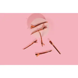 Professional Styling Clips (6 pack)