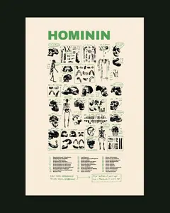 HOMININ poster HOMININ poster