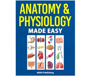 Anatomy & Physiology Made Easy: An Illustrated Study Guide for Students To Easily Learn Anatomy and Physiology