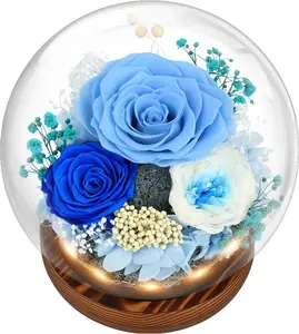 Preserved Flowers Valentines Day Gifts, Gifts for Her, Mom Wife Grandma Girlfriend, Fresh Flowers for Delivery Prime, Real Eternal Rose for Christmas, Birthday, Anniversary, Blue
