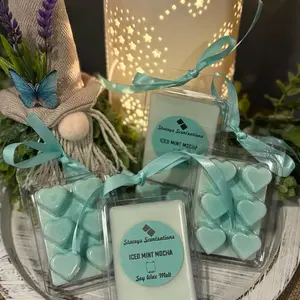 ICED MINT MOCHA Latte Soy Wax Melts Vegan Gel Ice Cubes Clean Fragrance Oil Pet Friendly Clamshell
