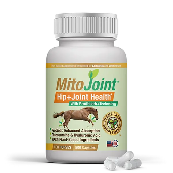 MitoJoint™, Hip and Joint Supplement for Horses, 500 capsules/bottle