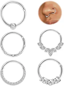 5 PCS 16G Nose Rings Hoops, Steel Earrings Tragus Septum Piercing CZ Clicker Septum Ring Hinged Segment Septum Conch Lip Helix Cartilage Hoops 8mm for Women Men