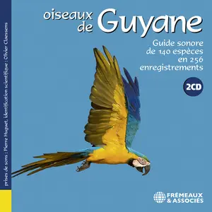Lenine - Oiseaux de Guyane  [COMPACT DISC - CD] 2 Pack