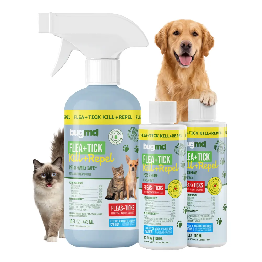 BugMD Flea and Tick Spray for Dogs and Cats – Kills & Repels on Contact – Plant-Powered Flea Treatment for Home, Furniture & Carpet | Makes 32 oz