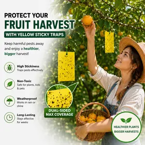 Somero 10pcs/20pcs Yellow Pest Trap Set,Includes Fixing Wire, Dual-Sided Fly Traps, Suitable for Farm Garden Vegetable Orchard Patio Indoor Outdoor Insect Control Plant Safe
