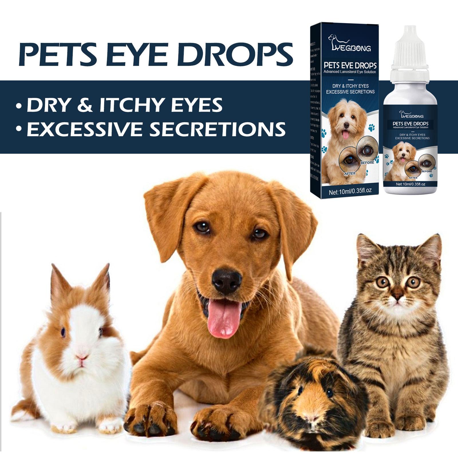 Pet Eye Drops,Dog and Cat Eye Wash | Eye Drops for Dogs and Cats to ...