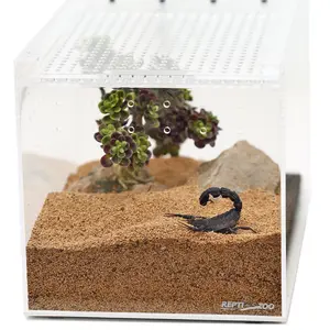 REPTIZOO – Acrylic Habitat – 6” x 8” x 6”