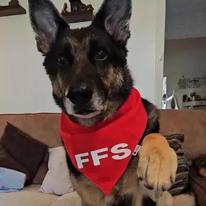 FFS Dog Bandana, Chino FFS Custom Bandana, Pet Scarf, Pet Custom Bandana