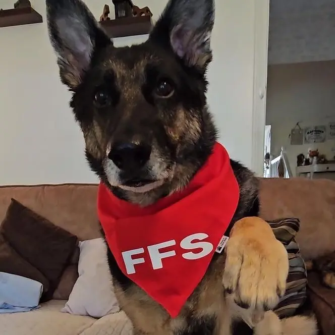 FFS Dog Bandana, Chino FFS Custom Bandana, Pet Scarf, Pet Custom Bandana
