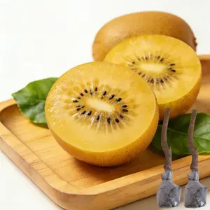 Sun Gold Kiwi Fruit Tree Seedlings | Easy to Grow for Home Gardens | Ideal Choice for Home Gardeners