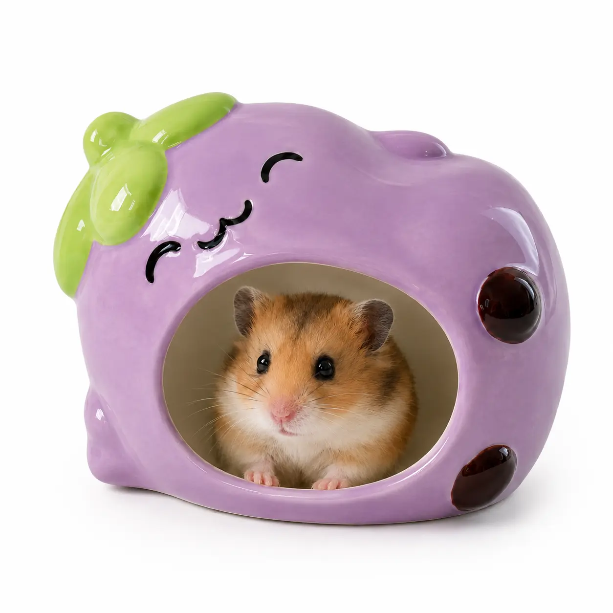 Ceramic Hamster Hideout, Cute Eggplant Small Pet House and Food Bowl, Natural Cooling Ceramic Hideaway for Syrian Hamsters, Dwarf Hamsters, Gerbils, Chinchillas and Small Pets