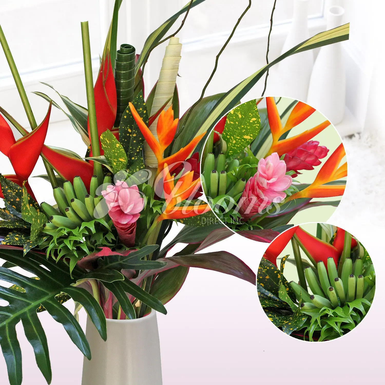 Celebrate Fresh Tropical Bqt - Premium Ecuadorian Bouquet with 8 Exotic Heliconias & Diverse Foliage 27.5" Long Stem Floral Arrangement