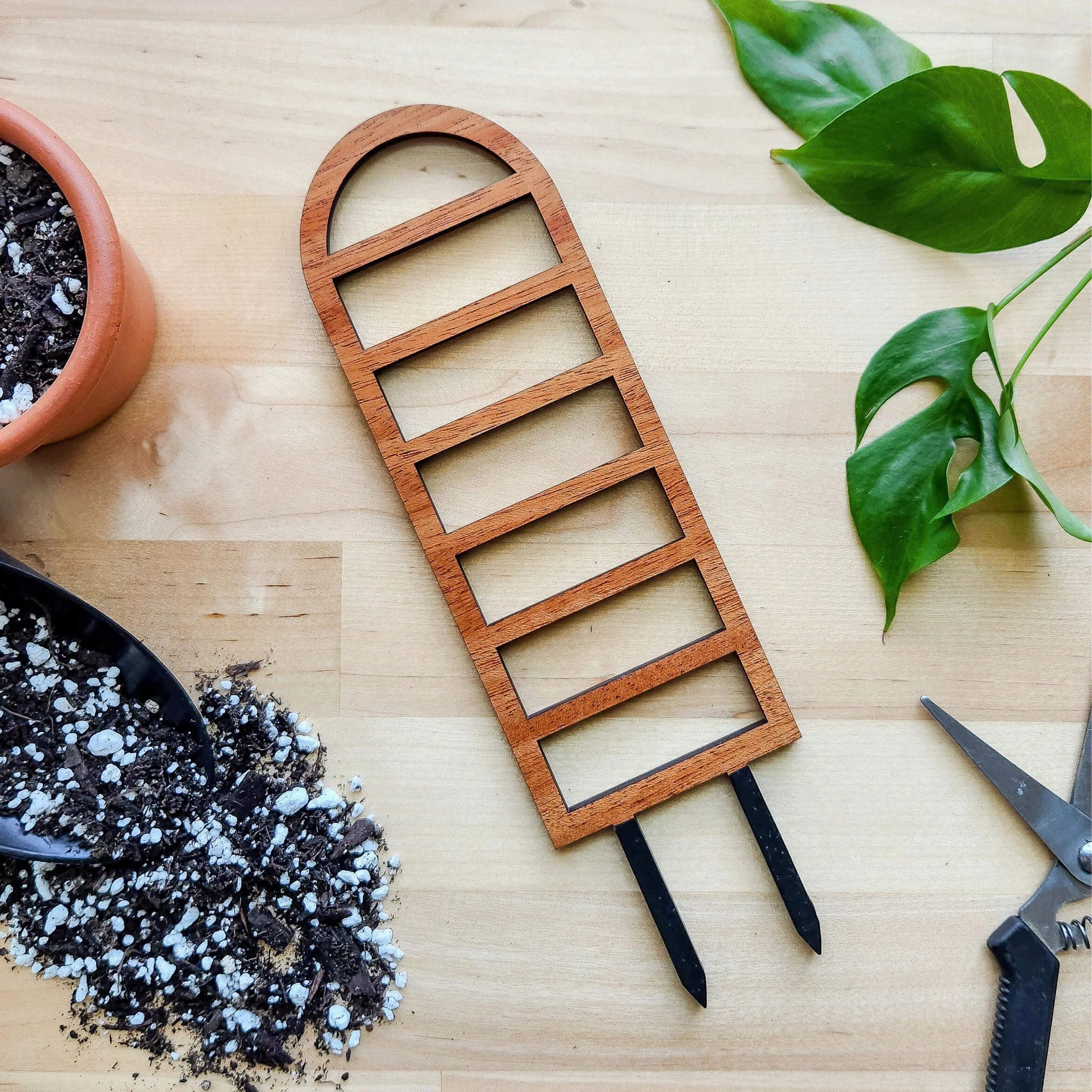 Ladder Arch Indoor Houseplant Trellis (Wood)