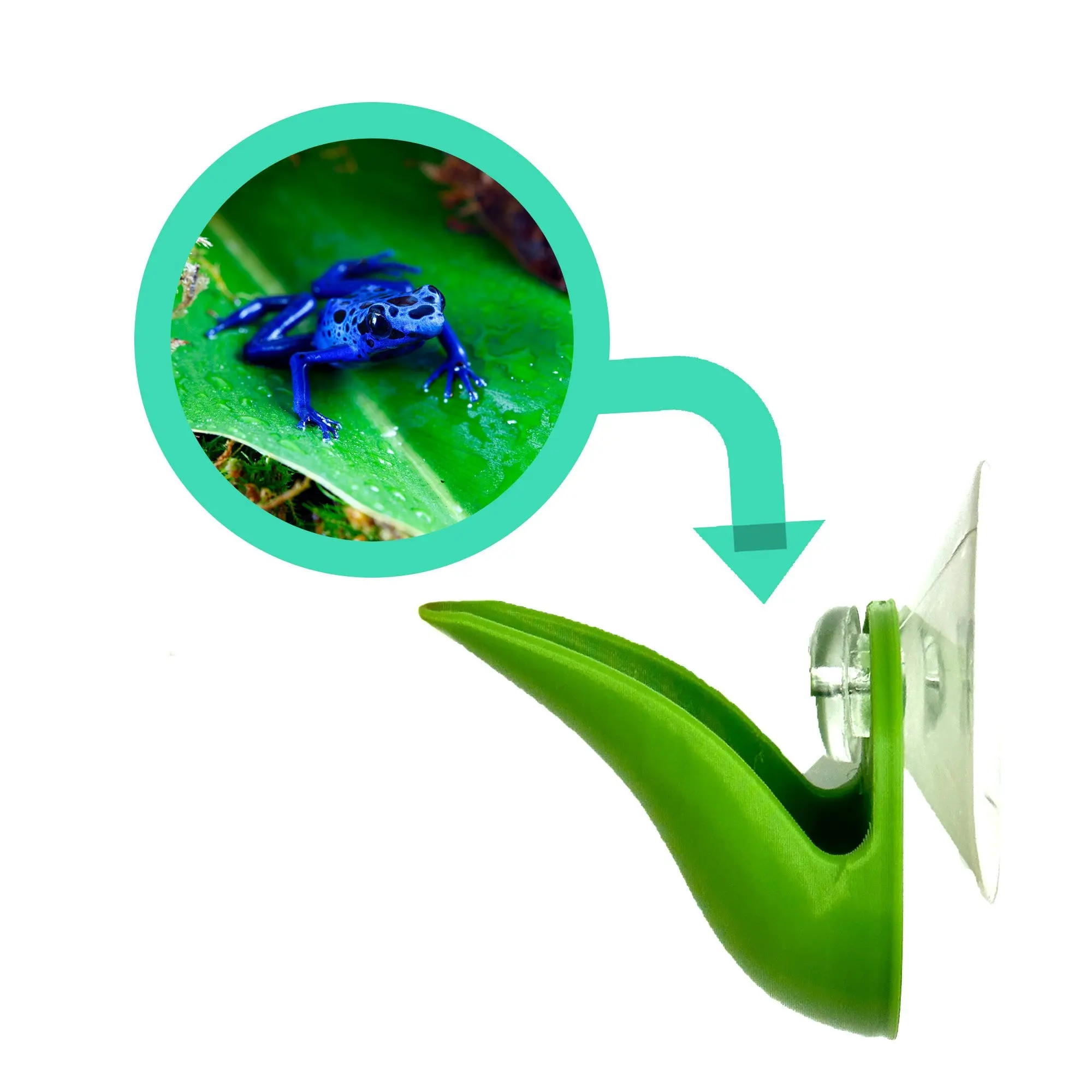 Dart Frog Leaf Pod - Bromeliad Leaf Hide