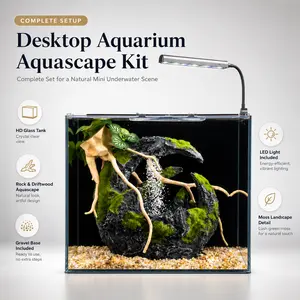 Desktop Square Aquarium with Landscape Ecosystem