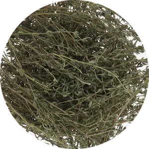 Freeze Dried Thyme