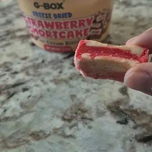 G-BOX Freeze Dried Ice Cream | Crunch Strawberry Shortcake Ice Cream Bites - Perfect for Camping, Outdoor, and Party - Air-tight Sealed in a Deli Container