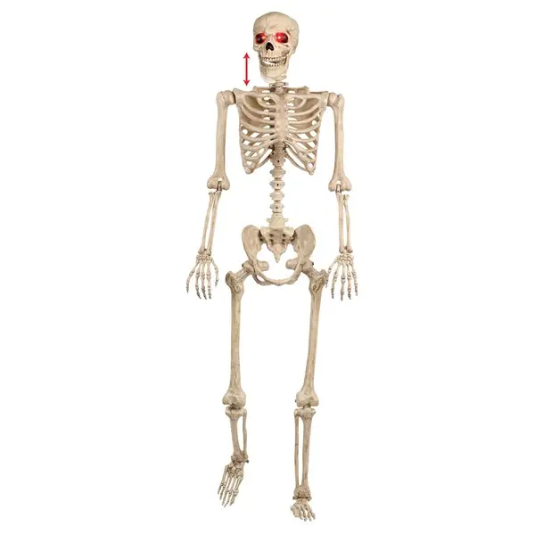 Animated Mr. Crazy Bonez Skeleton Prop