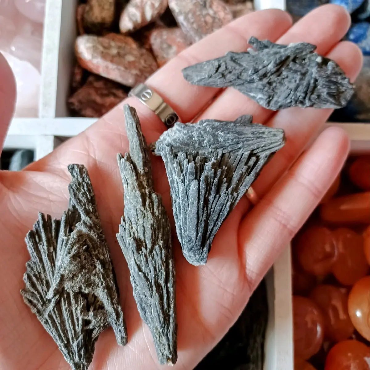 Black Kyanite