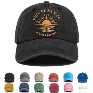 Embroidered Hat FDT Merch Subtle Anti-Trunp, Gulf of Mexico Subtle Feminist Hat