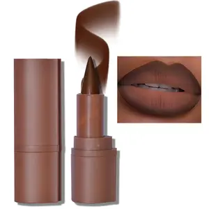 Erinde 2-in-1 Lip Liner and Lipstick Lip Combo Set, Matte Nude Dark Brown Red Lip Liner Creamy Lip Pencil Crayon, High Pigmented Long lasting Lipstick Makeup, 06# Coffee Bean