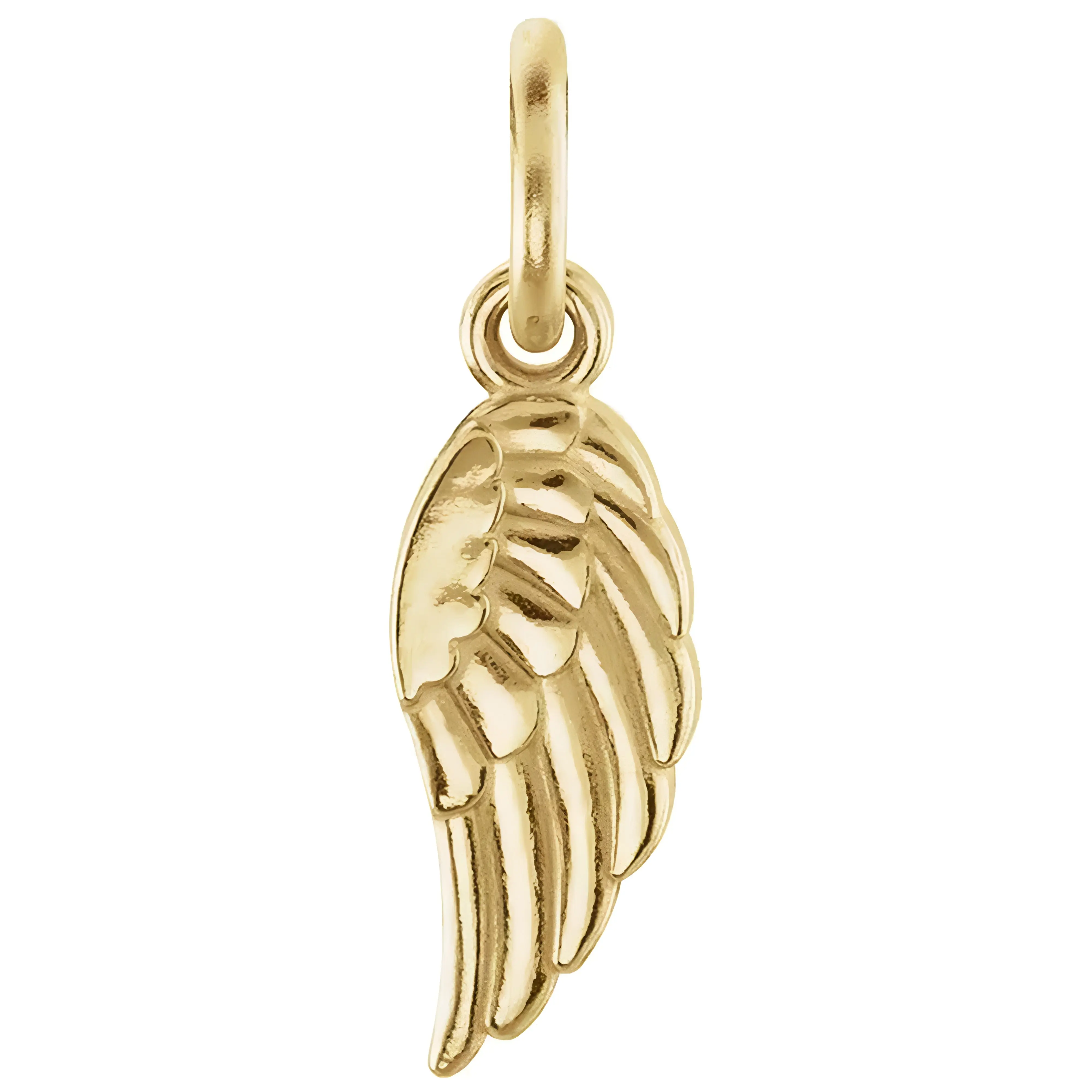 Angel Wing Charm